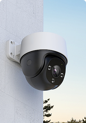 Intelligent Security